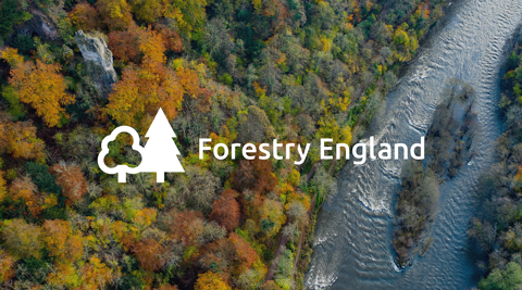 Forestry England Thumbnail