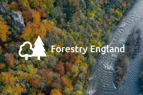 Forestry England Thumbnail