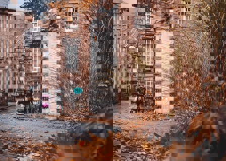 Jonny Gios 2J7waxzbdoc Unsplash