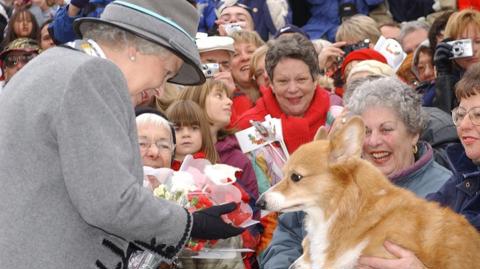 Queen Elizabeth II meeting a Corgi in a crowd